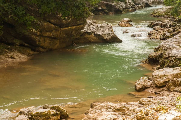 Fluxo de montanha pura em um cânion estreito entre os arbustos e árvores — Fotografia de Stock