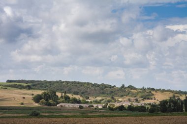 ağaçlar ve alanları arasında terk edilmiş çiftlik