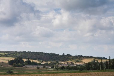 ağaçlar ve alanları arasında terk edilmiş çiftlik