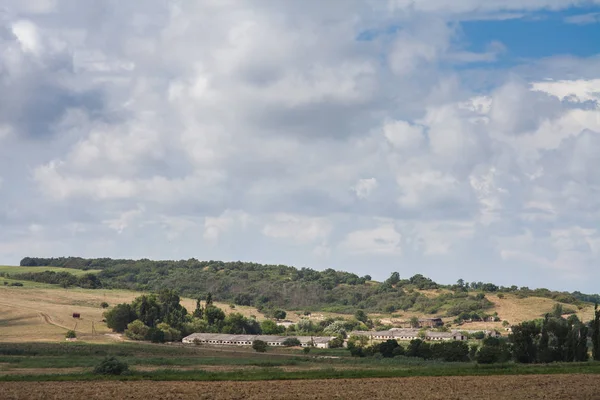 ağaçlar ve alanları arasında terk edilmiş çiftlik