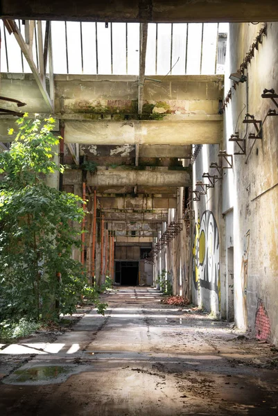 Oude verlaten fabriek — Stockfoto