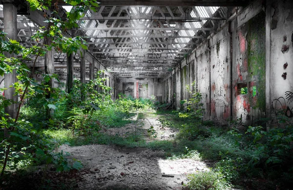 Ancienne usine abandonnée — Photo