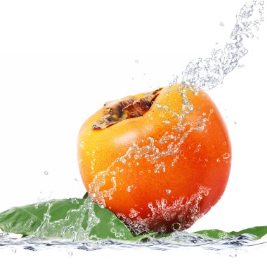 suya düşen taze caco