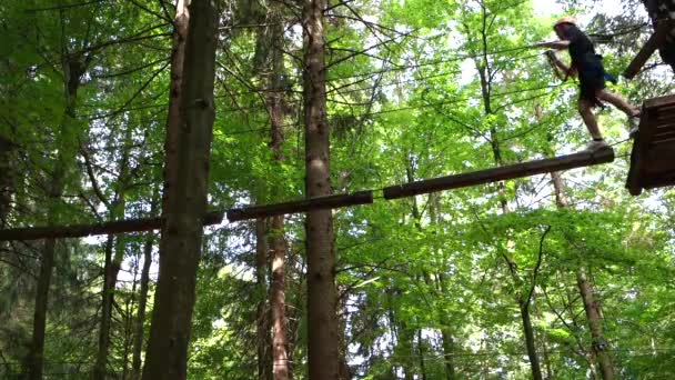 dans le parc d'aventure 