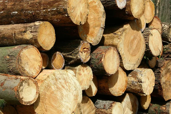 birçok uygulama için ahşap arka plan