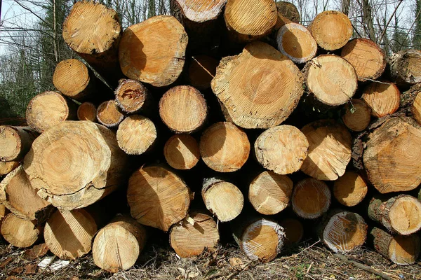 birçok uygulama için ahşap arka plan