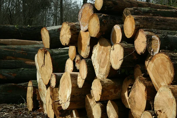 Fondo de madera para muchas aplicaciones — Foto de Stock