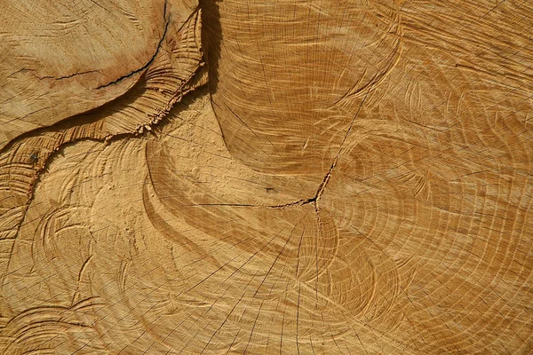 birçok uygulama için ahşap arka plan