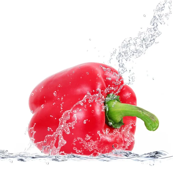 Fresh peppers falling in water — Stock Photo, Image