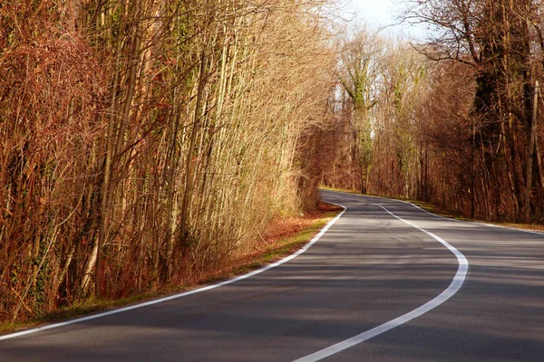 View of a country road — Stock Photo, Image