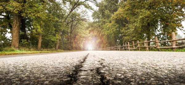 View of a country road — Stock Photo, Image