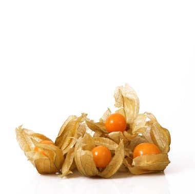 beyaz zemin üzerinde kış kiraz