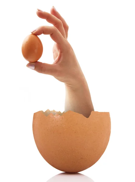 Mano en una cáscara sosteniendo un huevo —  Fotos de Stock