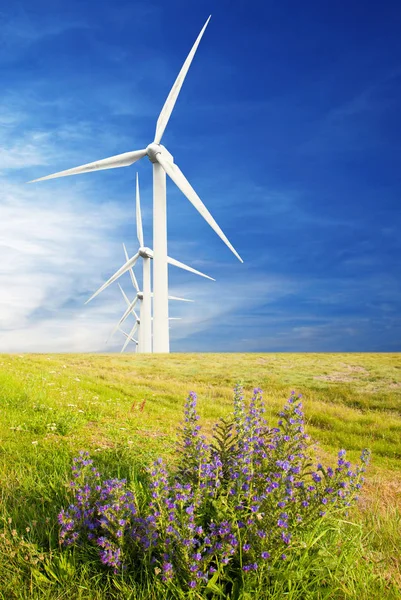 Вітрові турбіни на дачі — стокове фото