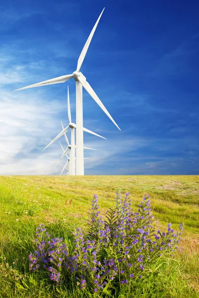 Turbina eólica en el país — Foto de Stock