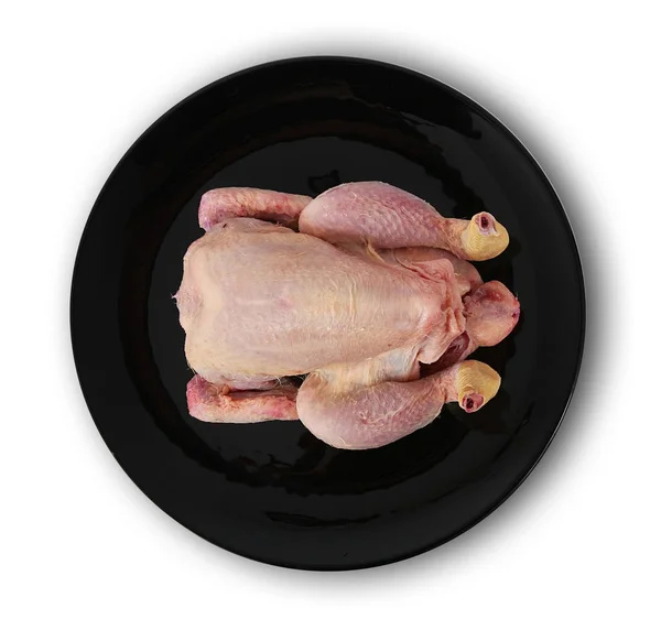 Pollo su sfondo bianco — Foto Stock