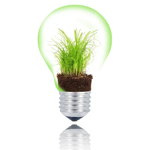 Isolated grass light bulb on white background — Stock Photo, Image