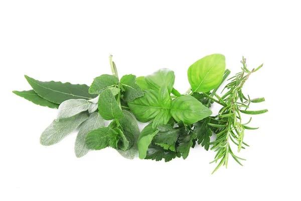 Fresh spices on white background — Stock Photo, Image