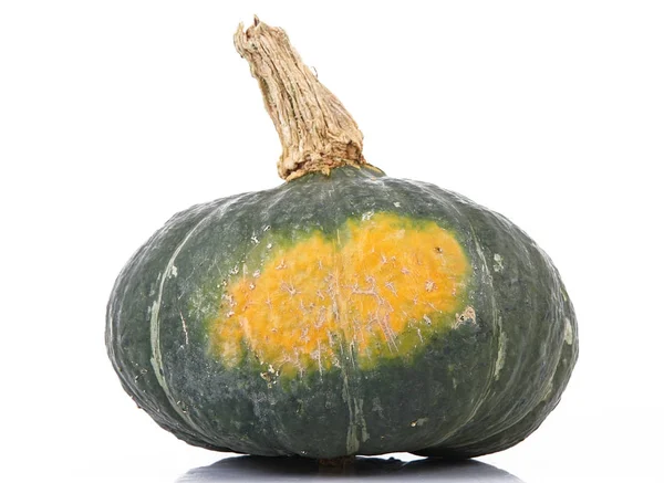 Fresh pumpkin on white background — Stock Photo, Image