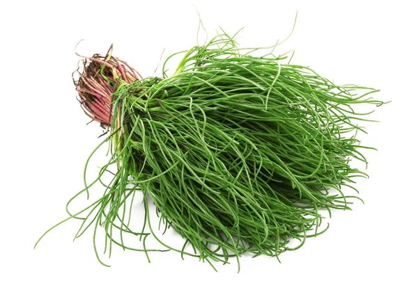 Salada de barba de frade no fundo branco — Fotografia de Stock