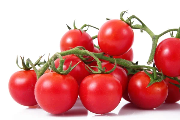 Tomates sobre fondo blanco — Foto de Stock