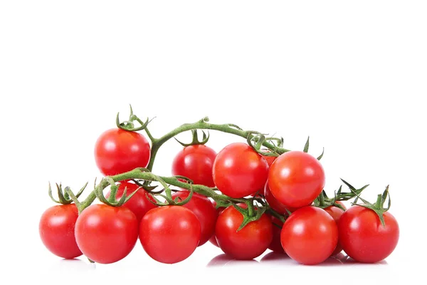 Pomodori su sfondo bianco — Foto Stock