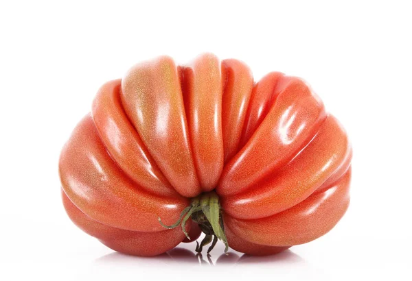 Tomate sur fond blanc — Photo