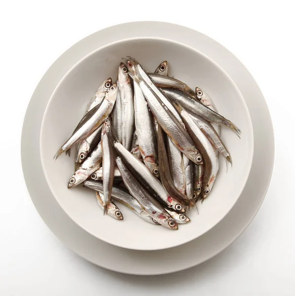 Plat d'anchois sur fond blanc — Photo