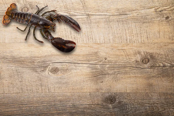 Fresh lobster on wooden background — Stock Photo, Image