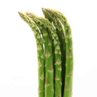 beyaz arkaplanda kuşkonmaz