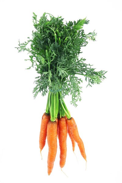 carrots on white background