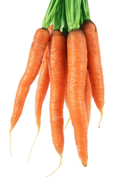 Carrots on white background — Stock Photo, Image