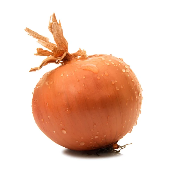 Isolated onion on white background — Stock Photo, Image