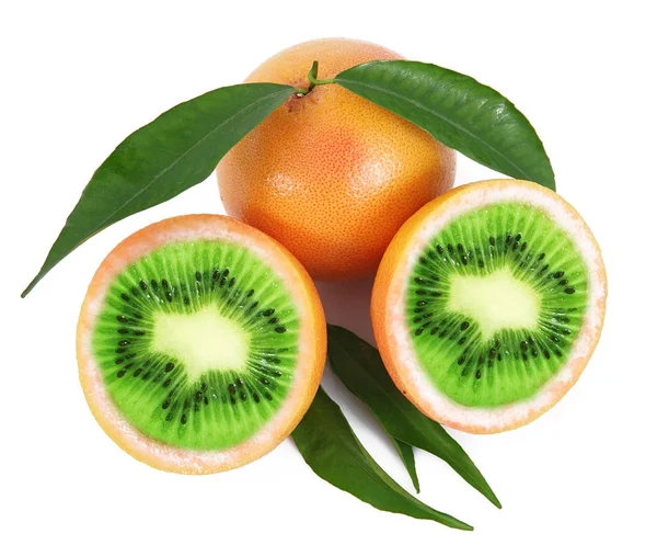 Ibrid Frucht Kiwi-Grapefruit — Stockfoto