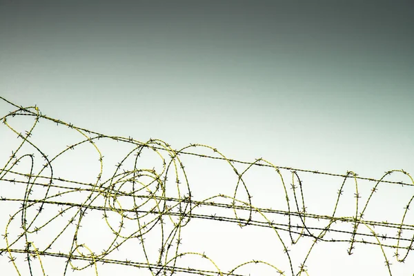 Images of barbed wire fence — Stock Photo, Image