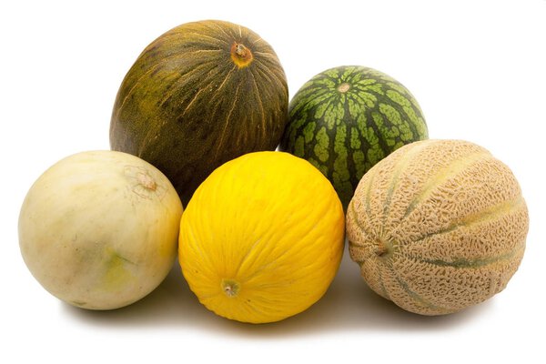 melon on white background