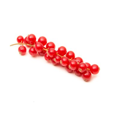 Ribes beyaz arka plan üzerinde