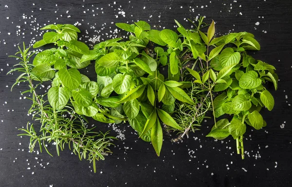 Spices on dark background — Stock Photo, Image