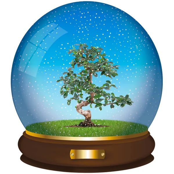 Crystall ball with tree in white background — Stock Photo, Image