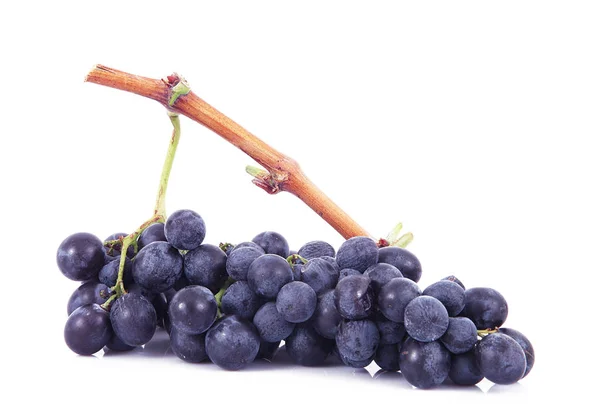 Bando de uvas em fundo branco — Fotografia de Stock