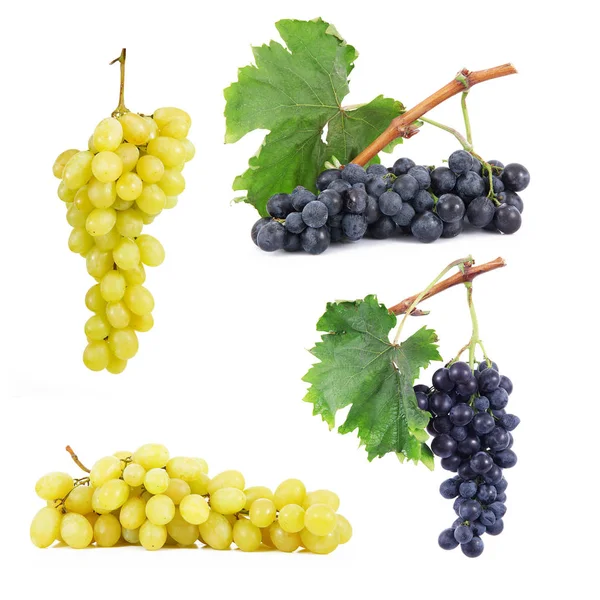 Bunch of grapes collage in white background — Stock Photo, Image