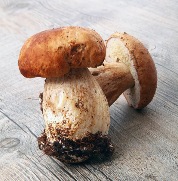 Setas porcini en fondo de madera — Foto de Stock