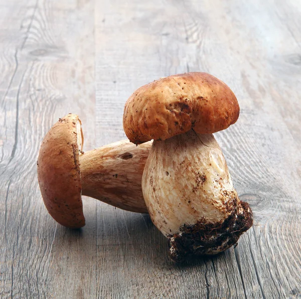 Білі гриби на дерев'яному фоні — стокове фото