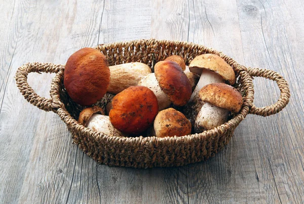 Porcini mushrooms in wooden background — Stock Photo, Image