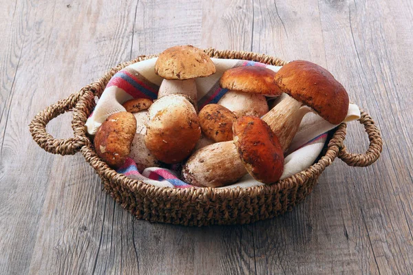Funghi porcini in sottofondo ligneo — Foto Stock
