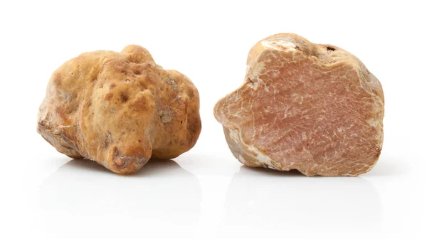 Original italian white truffle in white background — Stock Photo, Image