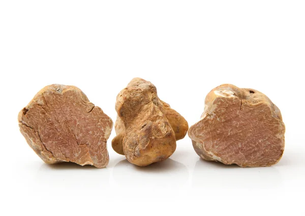 Original italian white truffles in white background — Stock Photo, Image