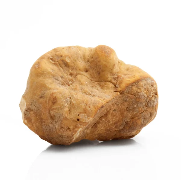 Original italian white truffle in white background — Stock Photo, Image