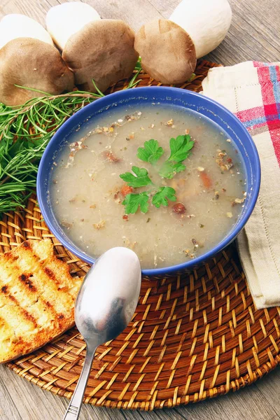 Sopa tradicional de champiñones con ingredientes bio —  Fotos de Stock