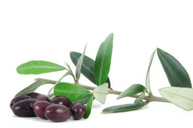 Beyaz arka planda izole zeytin